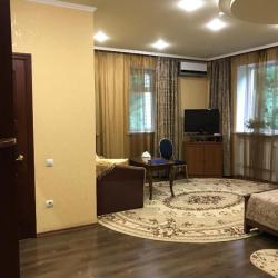 Номер студия с 1 двуспальной кроватью