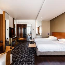 Ararat Park Hotel Moscow (Арарат Парк Хаятт Москва) — c66bd069af076ef43c4462cc7bfecaf8