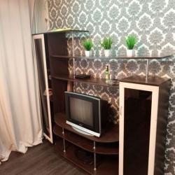 Фото Апартаменты на улице Воровского 71