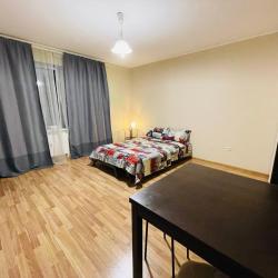 Фото Отель Apartments Laplandia (Апартментс Лапландия) на Привокзальной площади