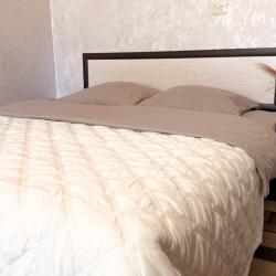 Фото Апартаменты на улице Фурманова 16