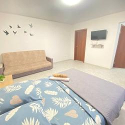 1-комнатные апартаменты стандарт