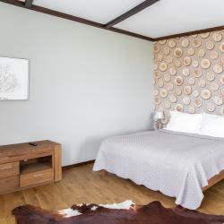 Номер студия премиум с 1 двуспальной кроватью