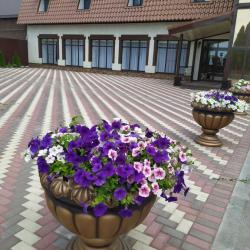 Фото Отель Провинция