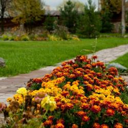 Фото Отель Лихвинские воды Санаторий
