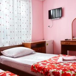 2-местный номер стандарт с 2 односпальными кроватями