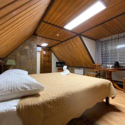 Фото Отель Созвездие Медведицы