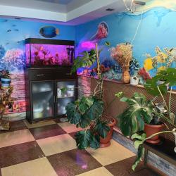 Фото Отель Варвара