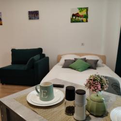 1-комнатные апартаменты студия