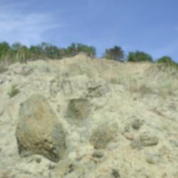 Фото Отель Аммонит