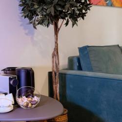 2-комнатные апартаменты стандарт