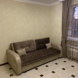 2-местные 1-комнатные апартаменты стандарт №7