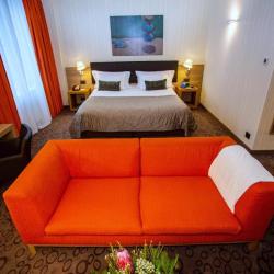 Domina Hotel Novosibirsk (Домина Новосибирск) — c7293b1714ab6e5c4ddf384d259d2a29