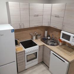 Фото Апартаменты на улице Римского-Корсакова 11