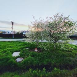 Фото Отель Sweet Home23 (Свит Хом23) на улице Крепостная