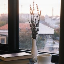 Фото Отель Parklane (Парклайн)