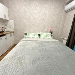 1-комнатные апартаменты стандарт с 1 двуспальной кроватью