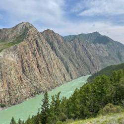 Фото Отель Дикий Ёж