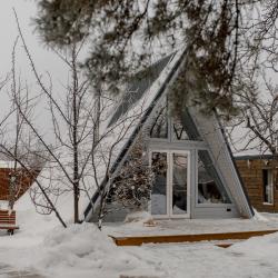 Дом у сосны