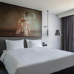 Radisson Blu Kaliningrad (Рэдиссон Блу Калининград) — c74c8e67b465552db0b3517a6b3c1bd9