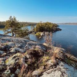 Фото Отель Гостевой комплекс Сосны