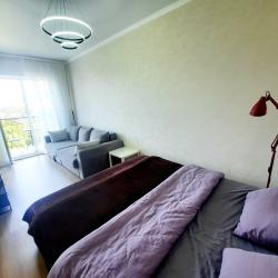 Фото Апартаменты на улице Ленина 219/6Б