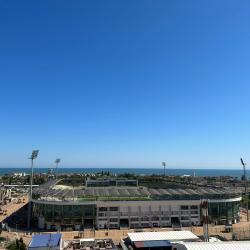 1-комнатные апартаменты стандарт (мансарда)