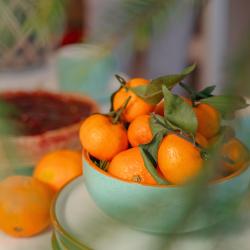 Фото Отель Эко Парк Тепло