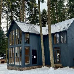 Коттедж премиум