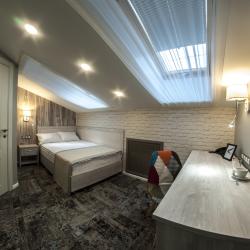 1-местный номер стандарт (мансарда)