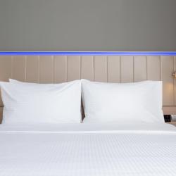 Cosmos Saint-Petersburg Nevsky Hotel (Космос Санкт-Петербург Невский) (бывш. Park Inn by Radisson Nevsky St. Petersburg) — c775c16a7d3c9993680dc7c1b84a3909