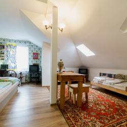 Фото Отель Родина