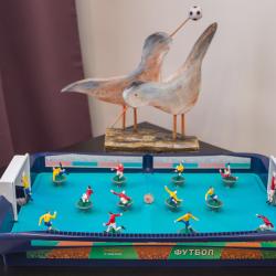 2-комнатные апартаменты улучшенные г. Петрозаводск, пр. Ленина, д. 5