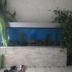 Фото Отель Камчатдар