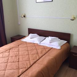 Номер полулюкс с 1 двуспальной кроватью (с завтраком)