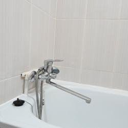 1-комнатные апартаменты стандарт с 1 односпальной кроватью и диваном №1