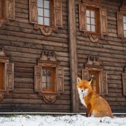 Фото Отель Жемчужина Заонежья