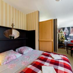 Фото Отель Родина