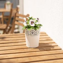 Фото Отель Центральный