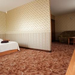 Номер полулюкс с 1 двуспальной кроватью и кондиционером