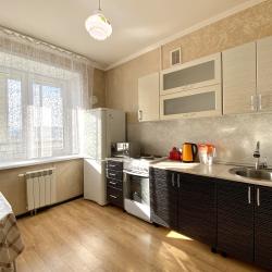 1-комнатные апартаменты стандарт 1-к. кв. Бабушкина 99 №91