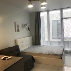 Фото Апартаменты Green Palace Sochi (Грин Пэлас )