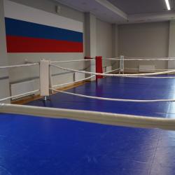 Фото Отель Академия Бокса А.Лебзяка