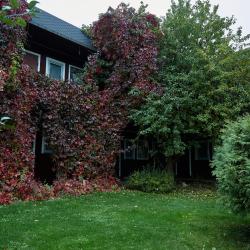 Номер эконом стандарт с 2 односпальными кроватями