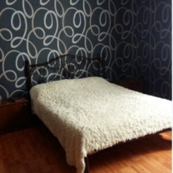 Фото Отель Альбина