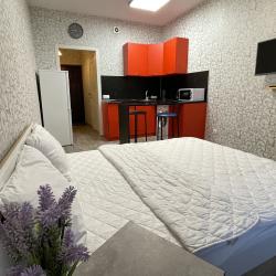 Фото Апартаменты на улице Карамзина 16