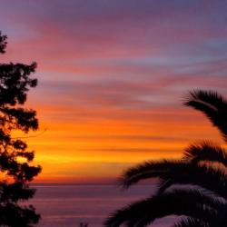 Фото Отель Дивный