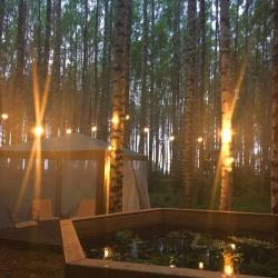 Фото Отель Берег Грифона