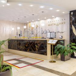 Магнолия — c896049f8ba9f4644b3482383151832a