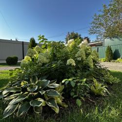 Фото Отель Leto (Лето)